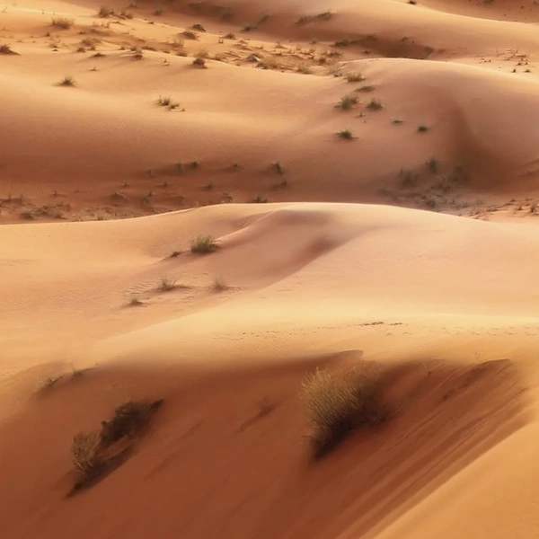 Red desert dunes on a full-day Sharjah city tour with Mleiha